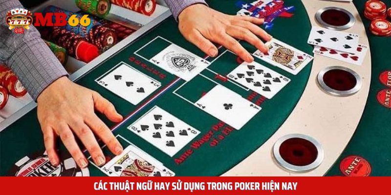 Các thuật ngữ hay sử dụng trong Poker hiện nay
